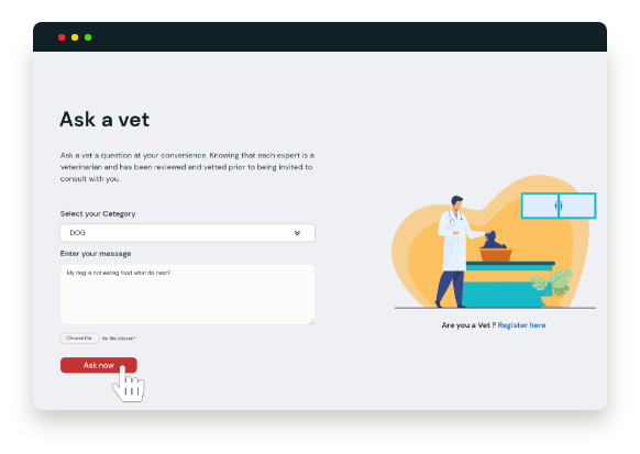 Free live chat with vet