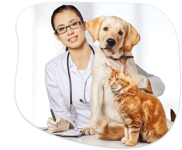 Pet health care