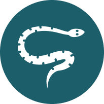 ExoticSnake icon