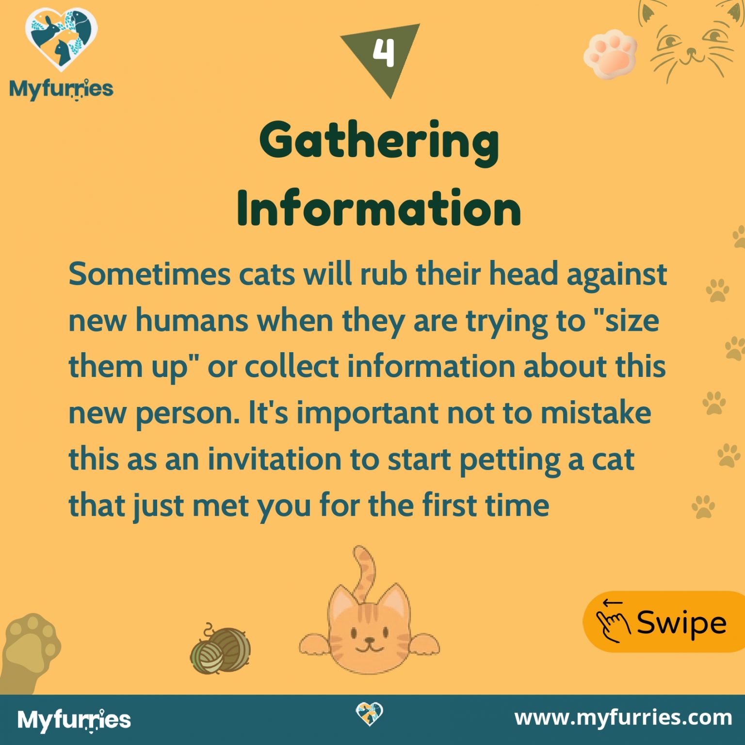 Why Do Cats Rub Against You? MyFurries Blog