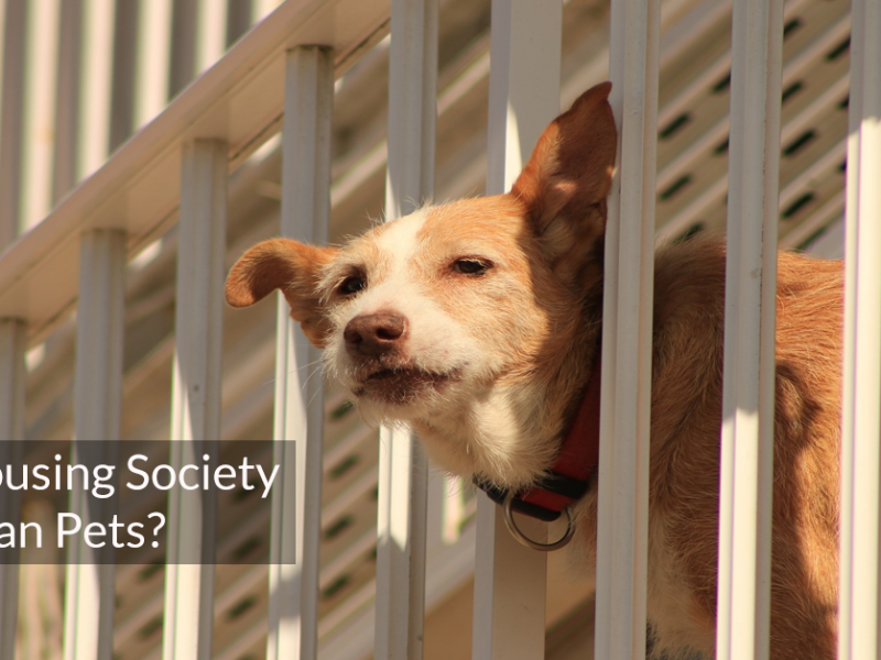 Can Housing Society ban pets