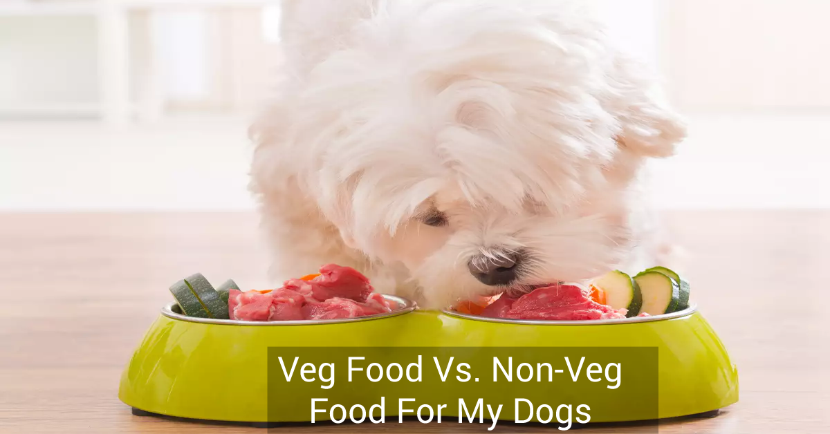 Veg Food Vs. Non-Veg food for my dogs