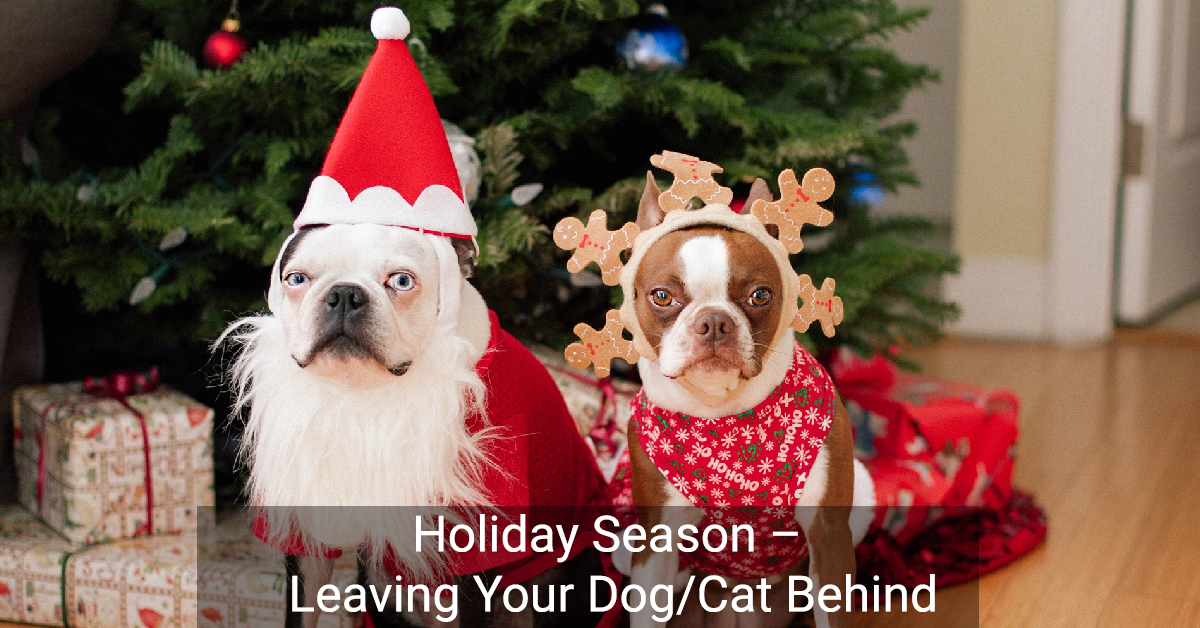 Holiday Season – Leaving Your Dog/Cat Behind