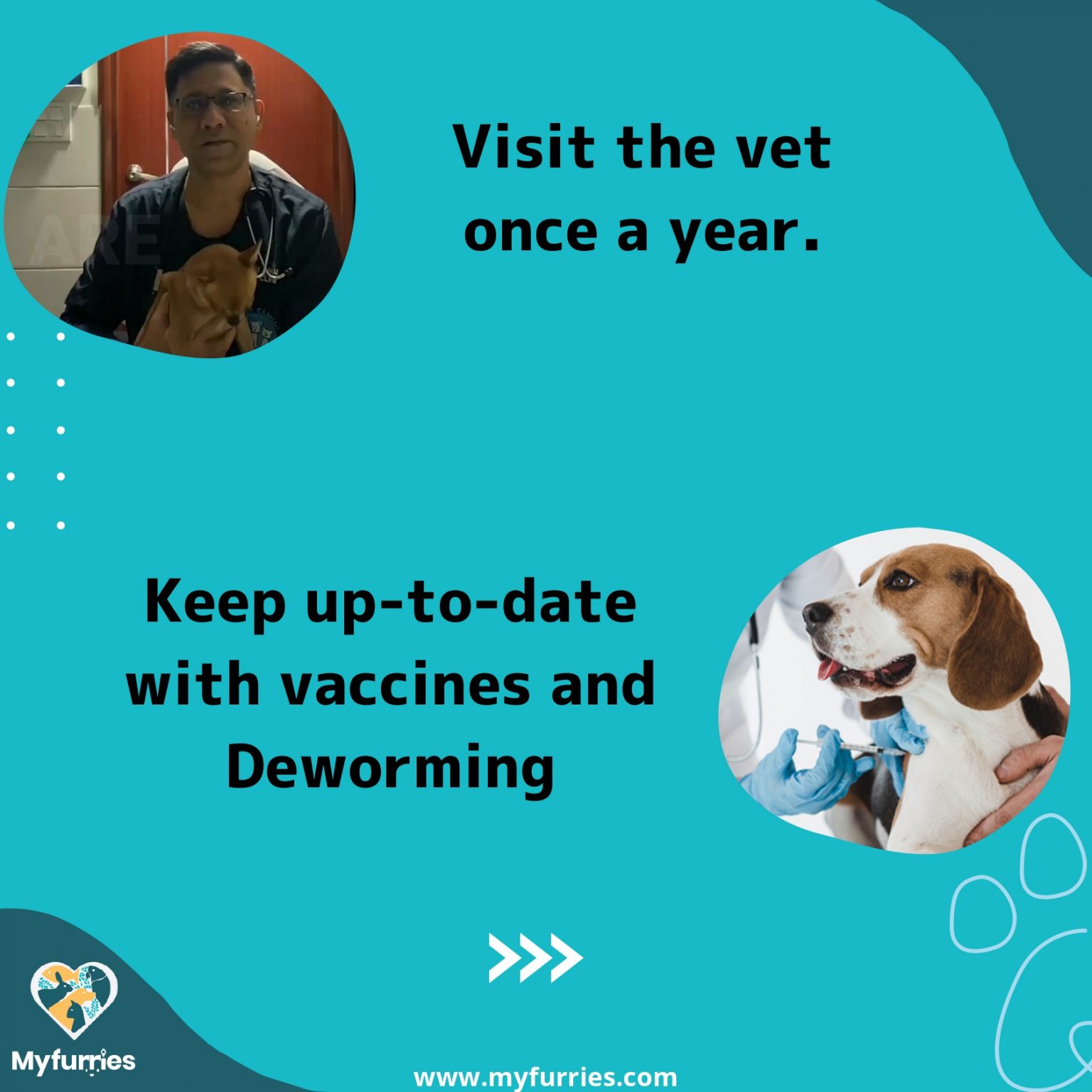 Tips For Keeping Your Pets Healthy Throughout Their Life. MyFurries Blog