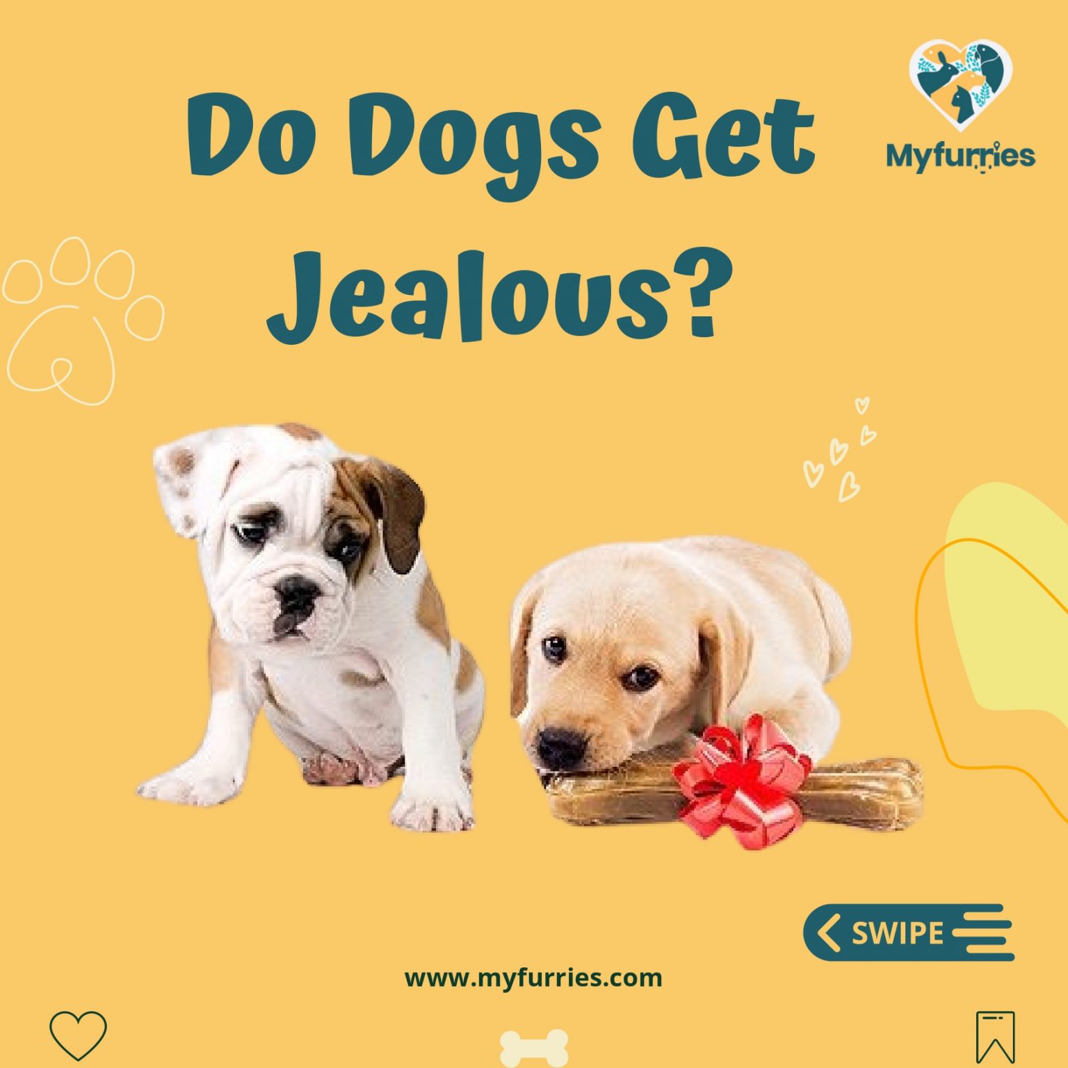 Do Dogs Get Jealous MyFurries Blog