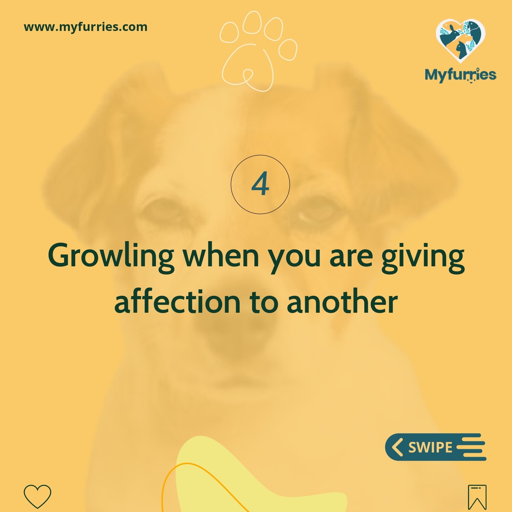 Do Dogs Get Jealous MyFurries Blog