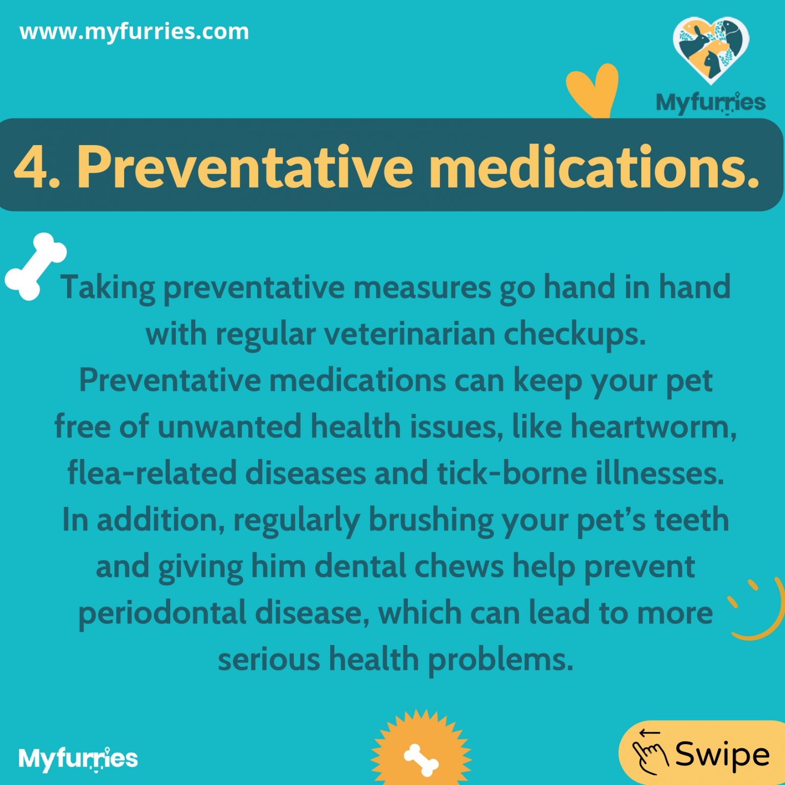 Top 7 Ways to Keep Your Pet Happy and Healthy MyFurries Blog