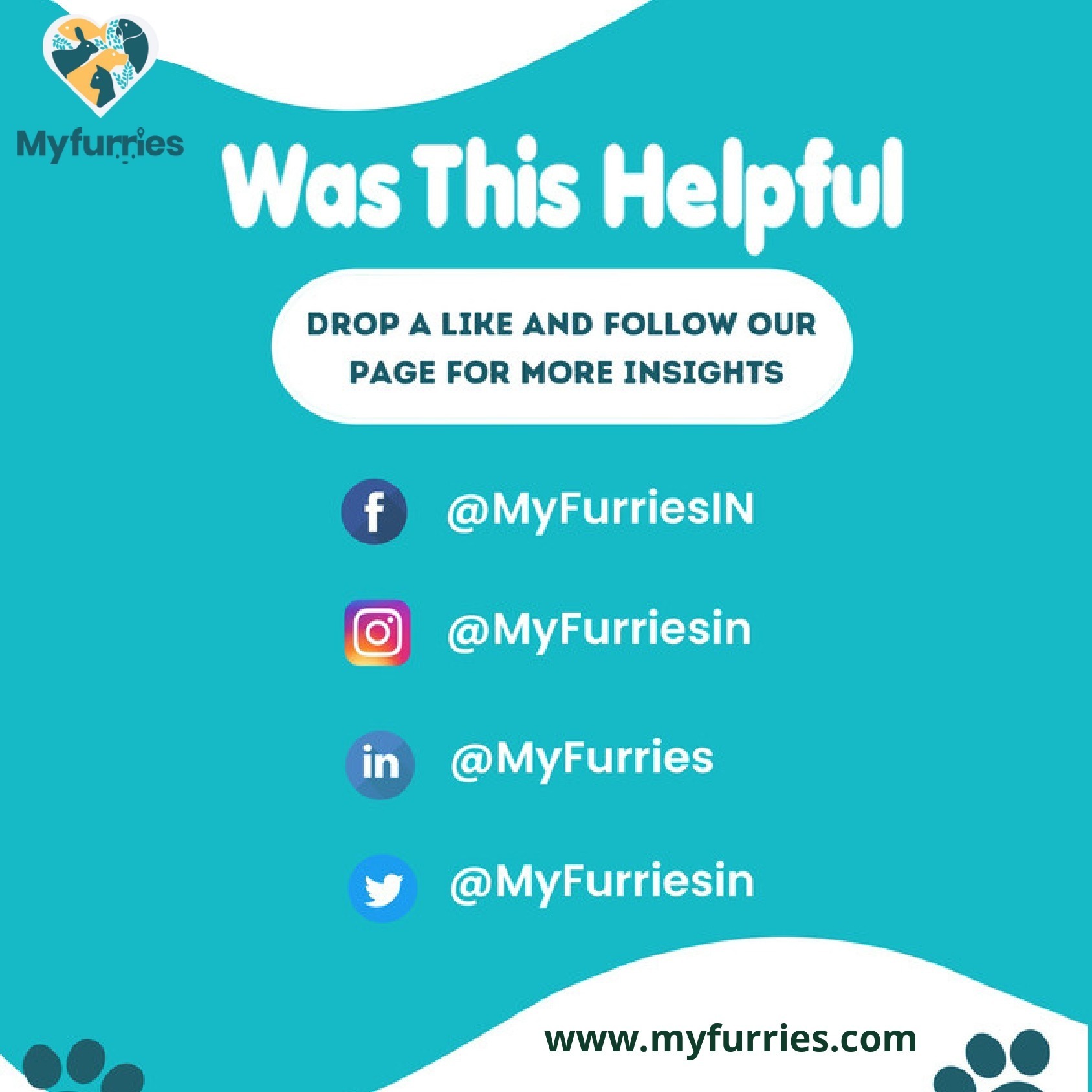 Top 7 Ways to Keep Your Pet Happy and Healthy – MyFurries Blog