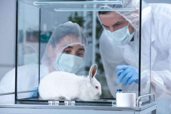 Pet Rabbit Diseases, Illnesses, and Emergencies