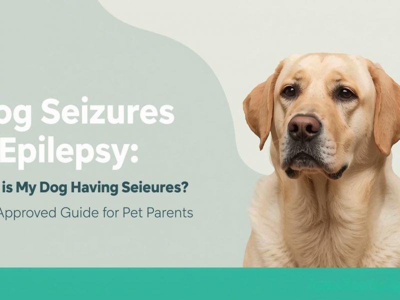 Dog Seizures & Epilepsy: Why Is My Dog Having Seizures? Vet-Approved Guide for Pet Parents