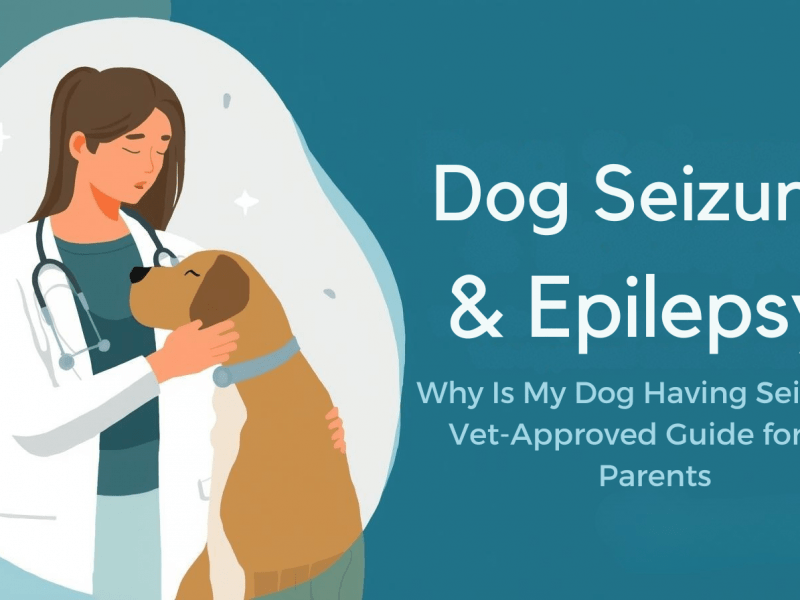 Dog Seizures & Epilepsy: Why Is My Dog Having Seizures? Vet-Approved Guide for Pet Parents