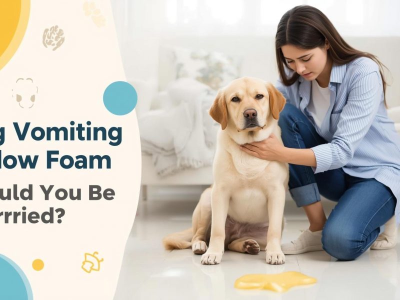 Dog Vomiting Yellow Foam – Should You Be Worried