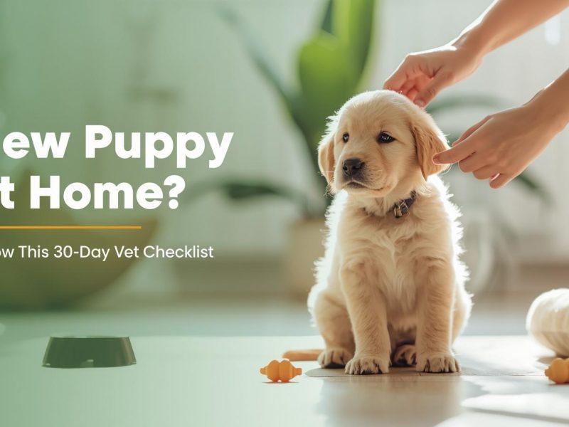 First 30 Days With a New Puppy Vet Checklist Every Owner Must Follow (2026 Guide)
