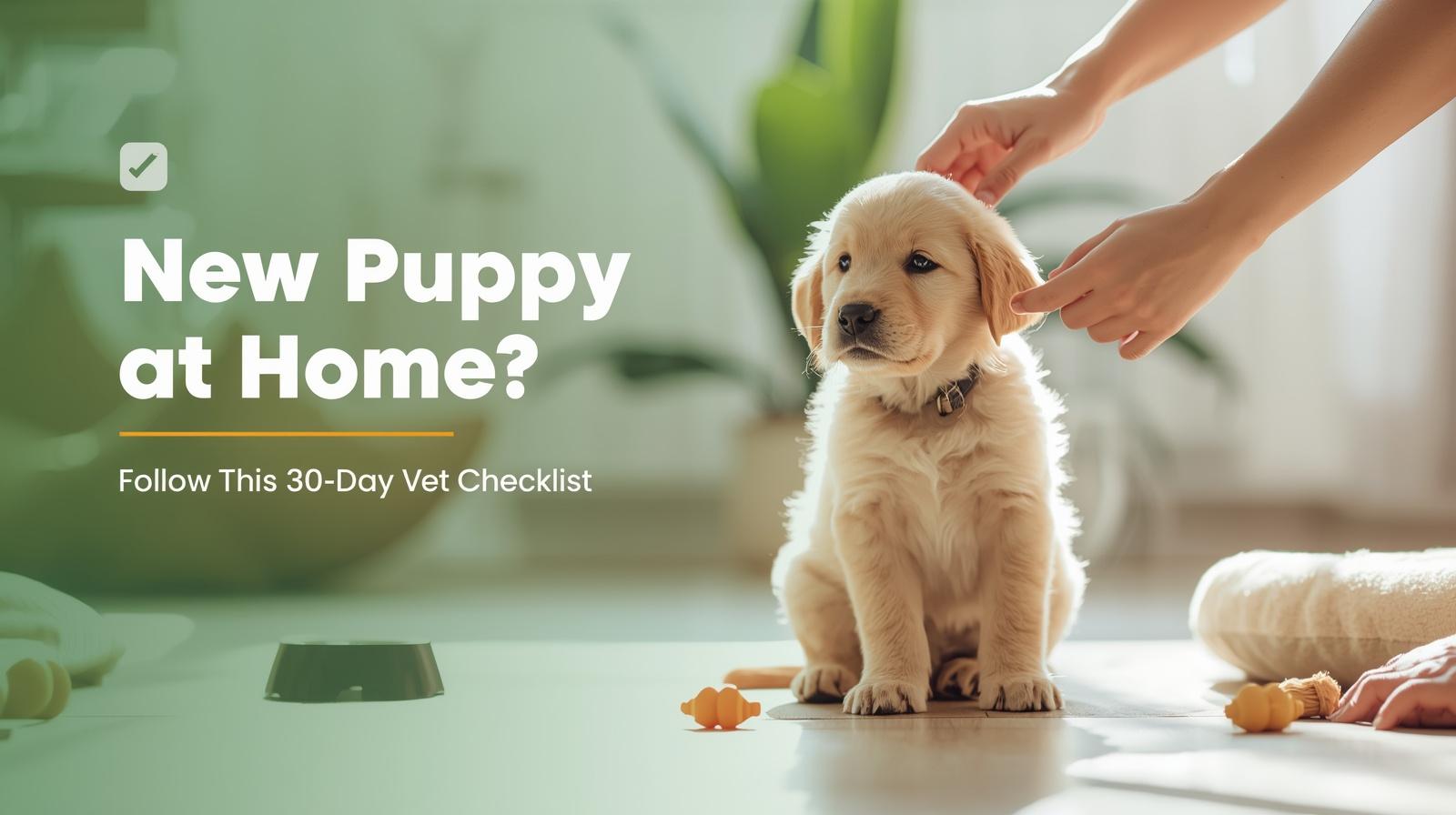 First 30 Days With a New Puppy Vet Checklist Every Owner Must Follow (2026 Guide)