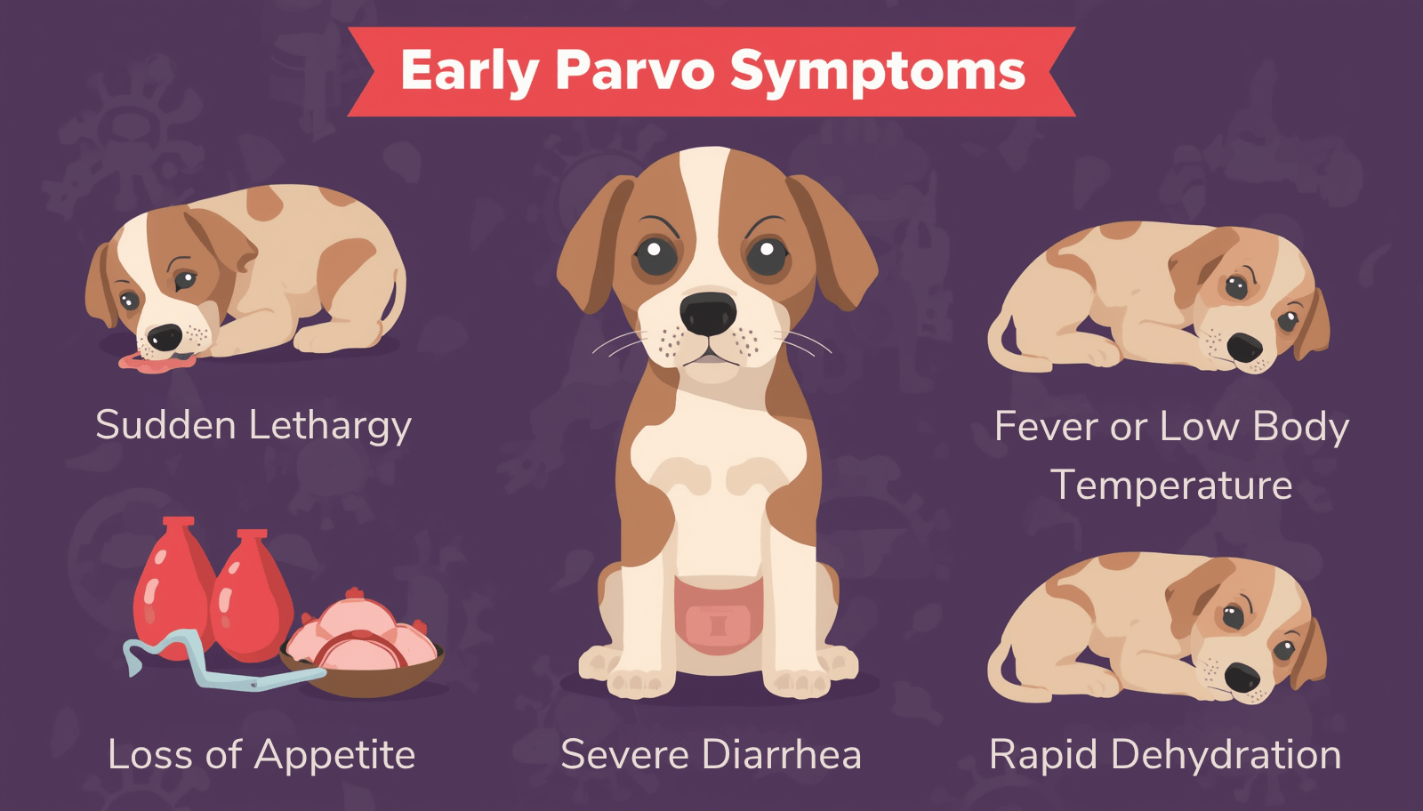 Illustration showing early parvo symptoms in puppies