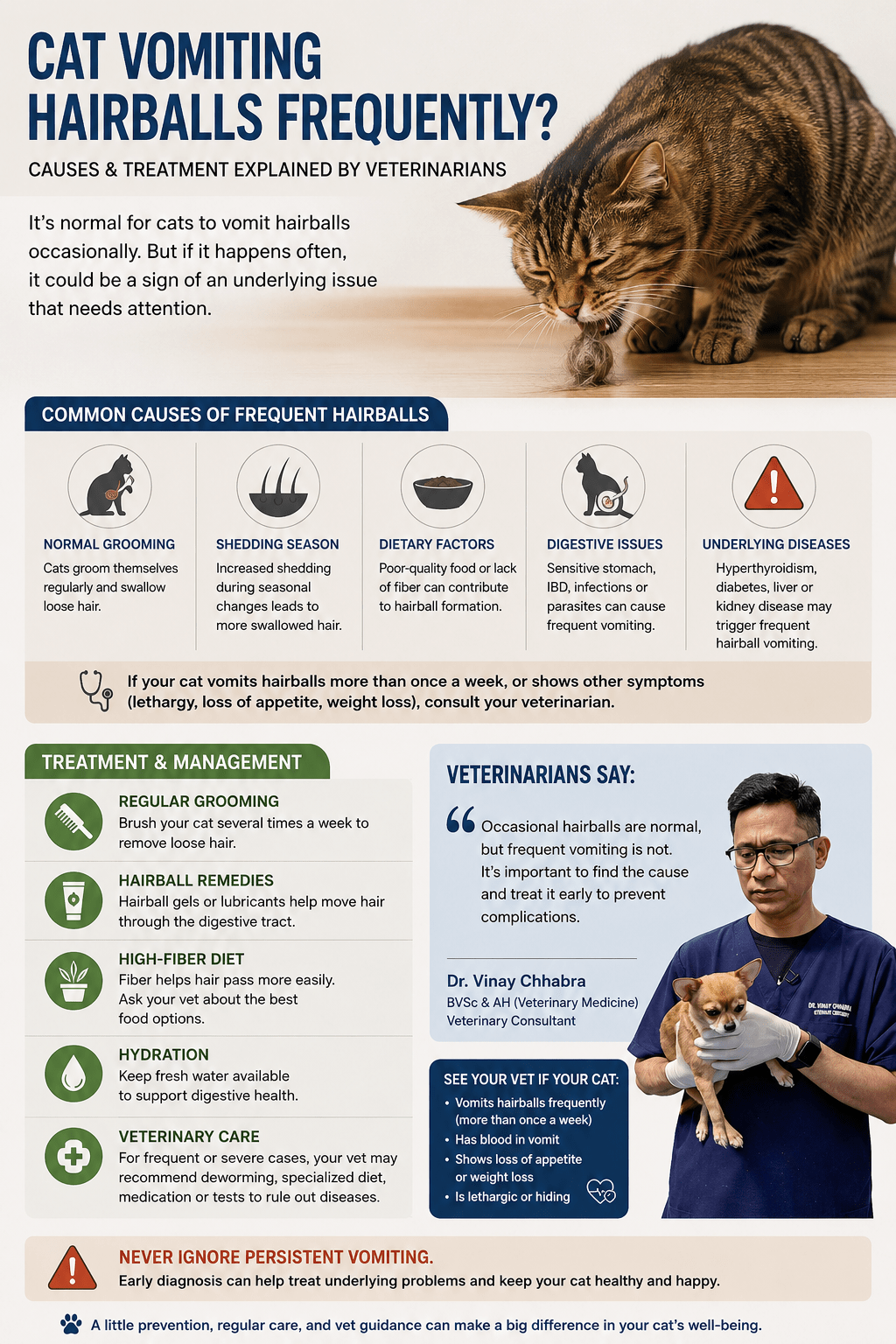 cat vomiting hairballs frequently causes and treatment explained by veterinarians